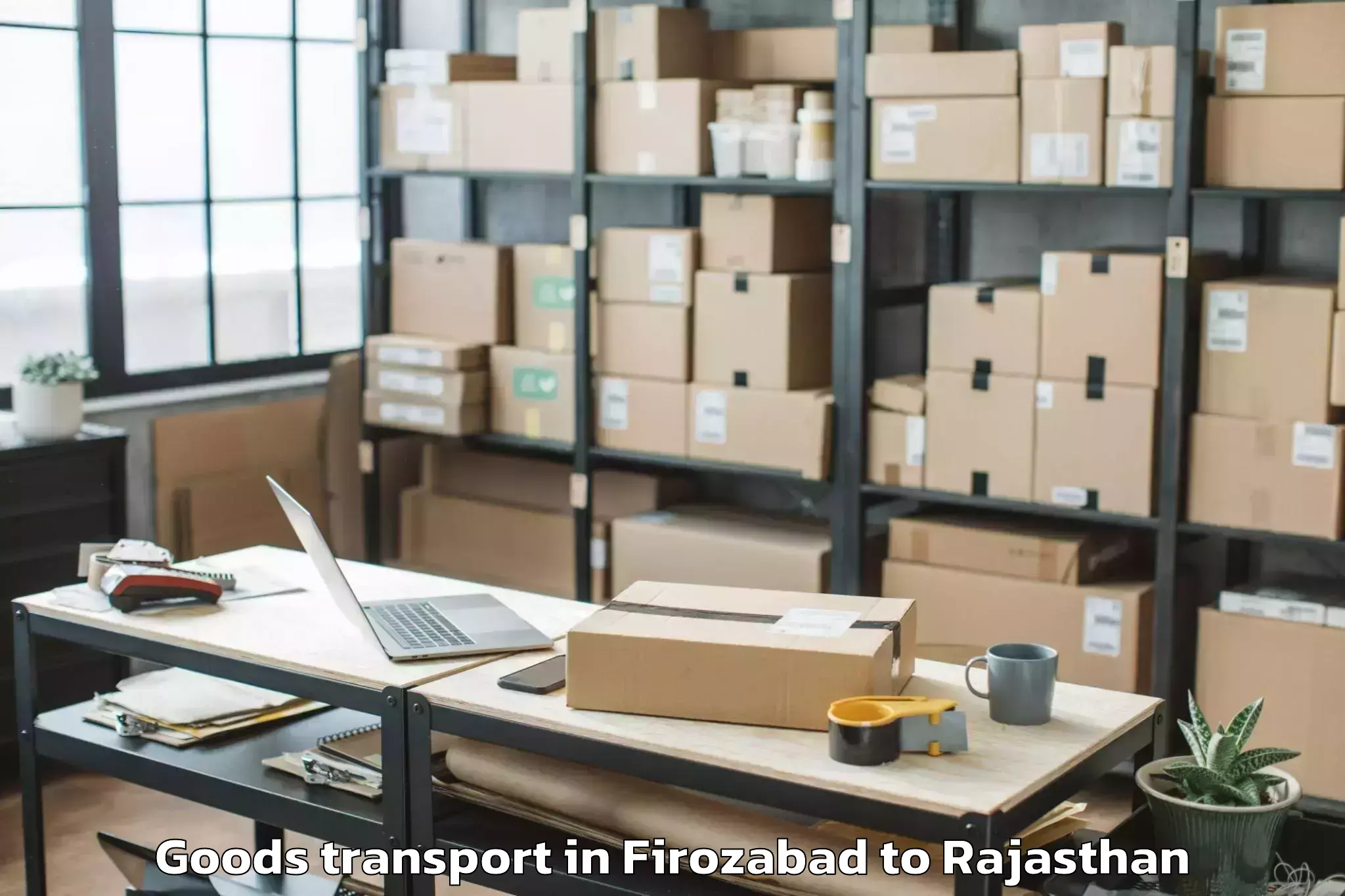 Affordable Firozabad to Dungarpur Goods Transport